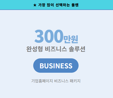 기업홈페이지-비즈니스 패키지 이미지 2